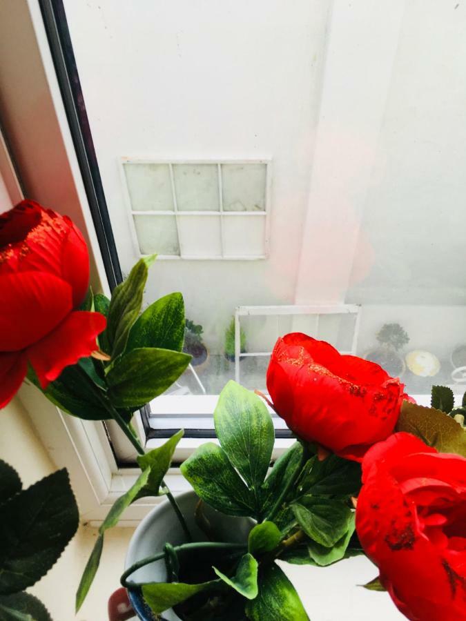 Little Brighton Beach Apartments - Also Separate Spa Cabin And Watersports 외부 사진